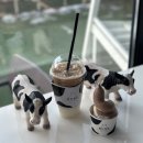 프라이어 휘트니스(6 스크린 포함)(495) | 12월 셋째주 주간일기 _ 메리 크리스마스🎄|인천 파라다이스시티|따띠따띠|씨메르|홈파티|홈쿡