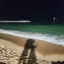 오아시스엘림 이미지