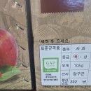 마감)떨이) 양구 아리수사과 10키로 이미지