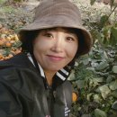 문필농장 이미지