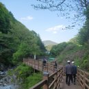 수도산 자연휴양림 이미지