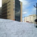 J-060 | 삿포로 여행 후기 - 1일차