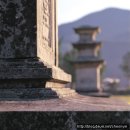 NR-47[서해로]-상-220 | 구산선문-성주산문-성주사지(保寧 聖住寺址)