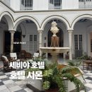 시몬 | [세비야 숙소 추천] 호텔 시몬 후기: 위치 최고