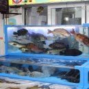 정희수산 네이버블로그