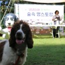 멍스토랑 이미지