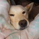 산골이야기 이미지