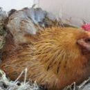 엄마품안 이미지