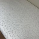 포렌하우스 이미지