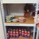 6263 | 포천 글램핑 산중호걸 1박2일, 가성비 좋아서 재방문한 후기