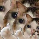 정원산책 카페 이미지