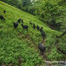 마루목장 이미지