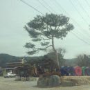 안동농협용상주유소 이미지