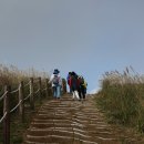 20191018~20/제주걷기/가을억새의 향연/산아야님 이미지