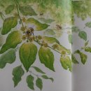 코이노니아 이미지