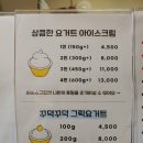7235 | 대전 중구청역 디저트 <요거트 아이스크림의 정석> 토핑 맛집 추천