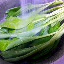 지리산황치마을영농조합법인 이미지