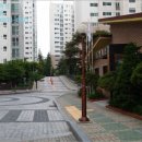 소로2류-243호 이미지