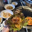 뚱보 생 막창 이미지