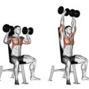 세종 바른 운동 이미지