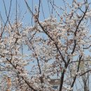 예산축산업협동조합 이미지