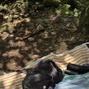 지장산 등산로 | [포천] 서울 근교 계곡 추천 : 포천 지장산계곡 당일치기 여름휴가