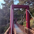 동백섬 | 해운대 가볼만한 곳 동백섬 후기