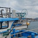 제주 올레길 18코스 | 제주 올레길 18코스 후기｜사라봉 별도봉 걷기 코스와 비 오는 날 트레킹 기록