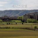 베니스모텔 네이버블로그