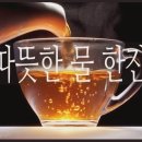 보약보다 좋은 ' 아침 따뜻한 물 한 잔 ' 의 기적 이미지