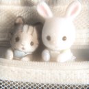 계룡산글램핑 이미지