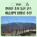 활주로공원 | 초보 추천 한라산 등산 코스 어승생악 탐방로 후기