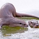 탄금호국제조정경기장 보트하우스 이미지