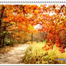 장성삼거리입구 공원 이미지