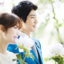 다양한 컨셉 웨딩촬영 BEST6