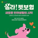 경기장묘산업 올치올치