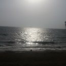 프로스펙스상설할인매장 이미지