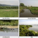 용산-이촌-327 이미지