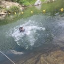 으뜸태권도체육관 이미지