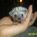 사직3동-4 이미지