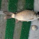 유동낚시터 이미지