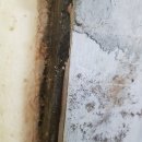 온누리건강하우스 이미지