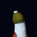 그 다음 이미지