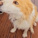 (주)바로메디 이미지