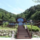 대관령 치유의 숲 이미지