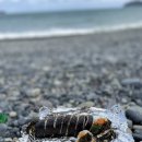 옥화마을 이미지