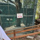 덕소자연사박물관 이미지