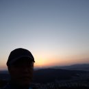 정제의 기능 이미지