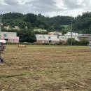 공릉천변 이미지