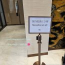 홍콩 Y 호텔 ( Y Hotel Hong Kong ) 셩완부터 사이완까지 호텔 15곳 다녀온 제가 알려드리는 셩완 Y호텔...
